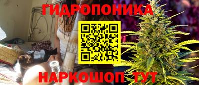 spice Ростов-на-Дону