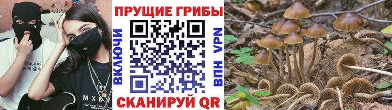 hydra маркетплейс  закладка  Старая Купавна  Псилоцибиновые грибы мухоморы 